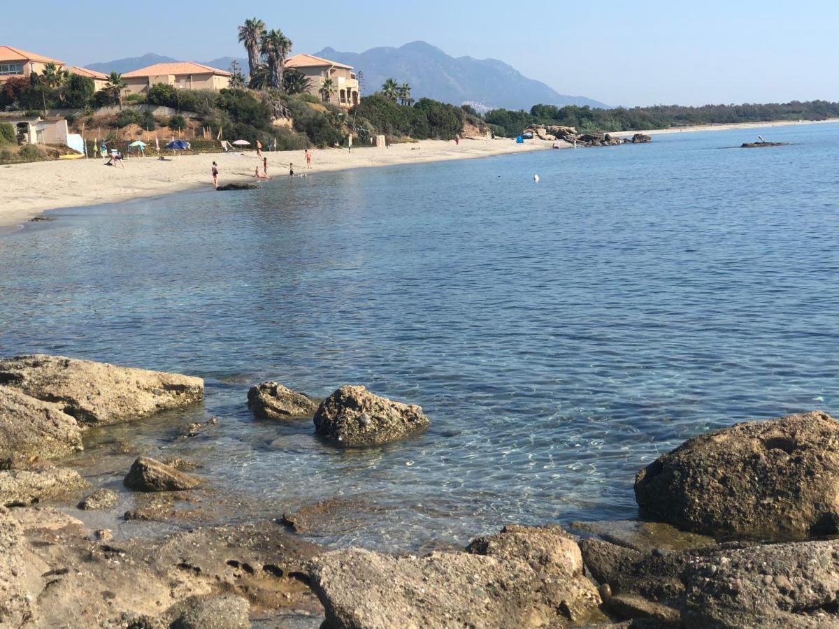 La Corse Tranquille 300M De La Plage Et Piscine Linguizzetta Buitenkant foto